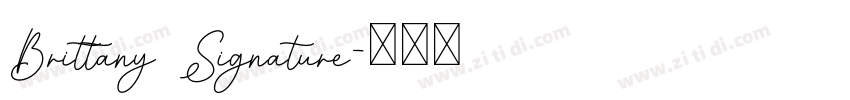 Brittany Signature字体转换